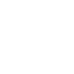 Sinless Society Clothing 